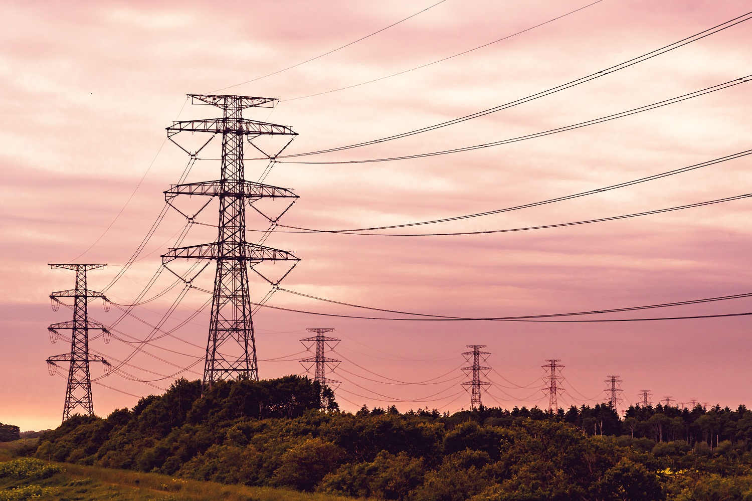 全台大停電! 冰箱罷工食材壞了了? 營養師揭保鮮最怕4地雷